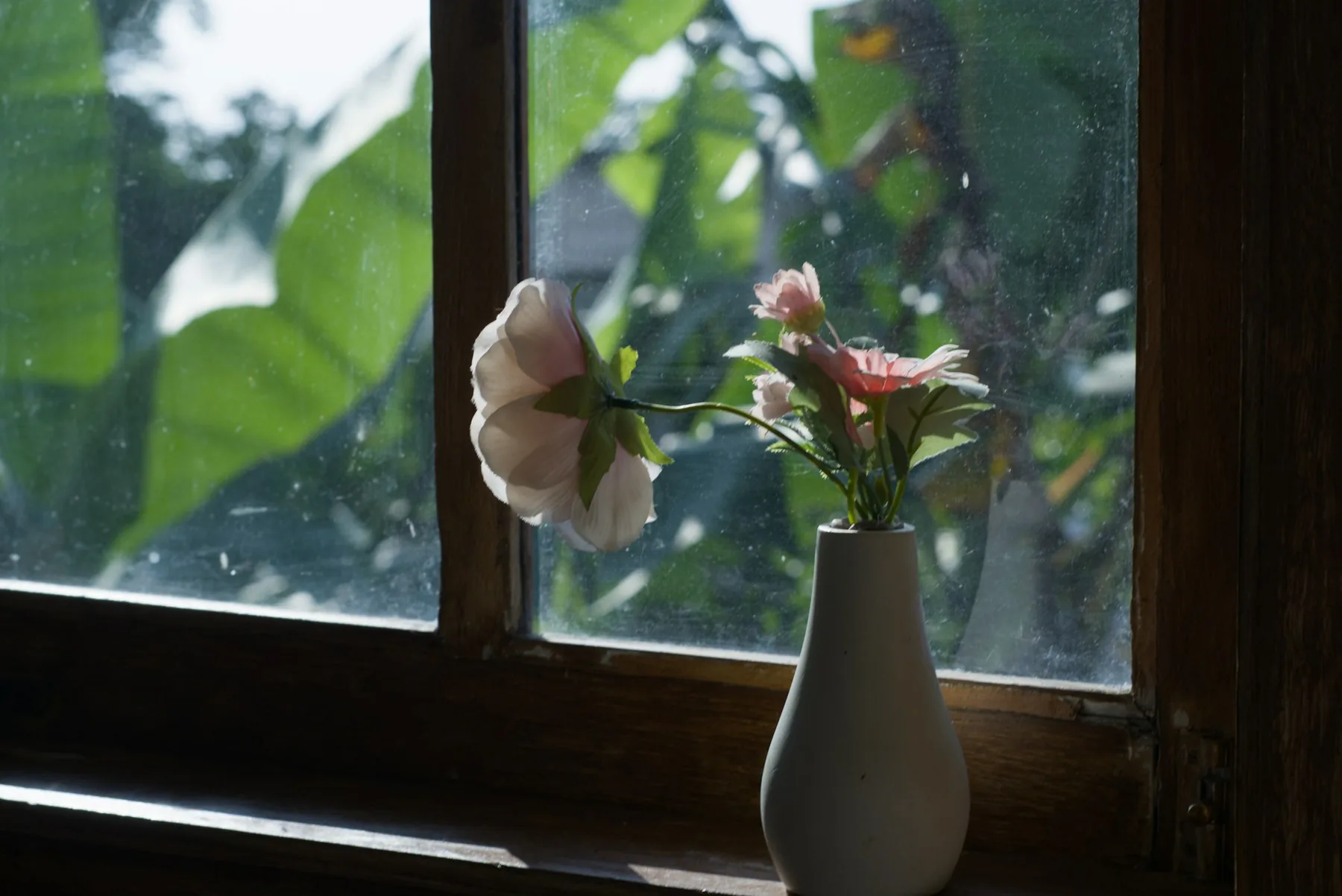 Bloemen op een vensterbank in het zonlicht